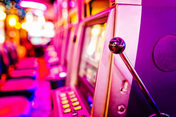 damai toto Bingo with Live Hosts, Real Payouts